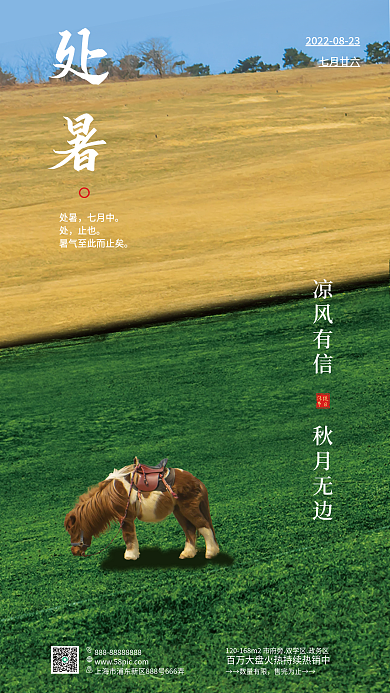 处暑节气夏秋交替草地草坪黄了树木天空天野