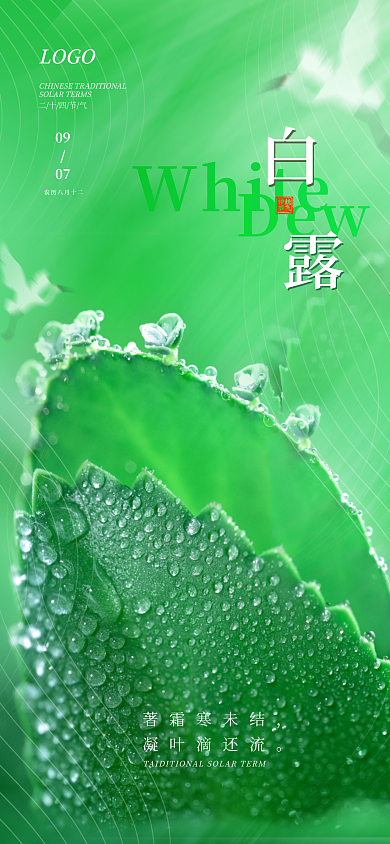 二十四节气白露全屏海报