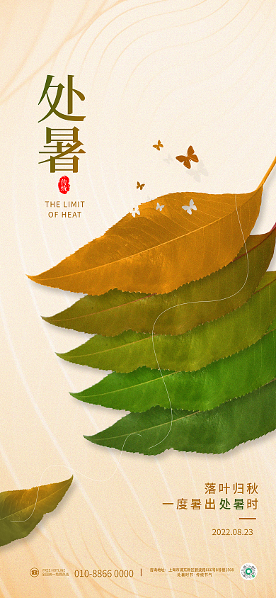 简约处暑落叶叶子场景传统节气海报