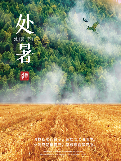 简约创意处暑节气处暑节气海报