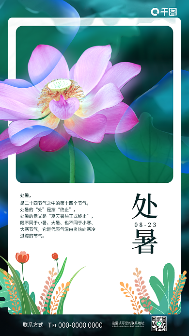 简约清新联系方式0823节气海报