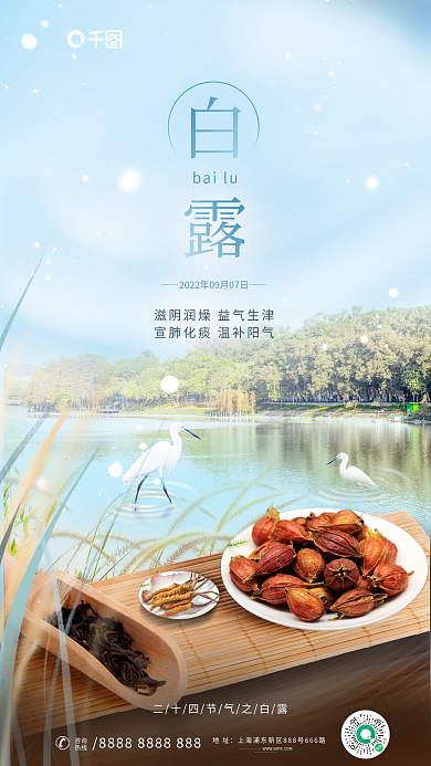 简约风bailu地址中医摄影图结合借势海报