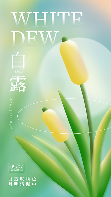 简约手绘WHITE白露白露海报