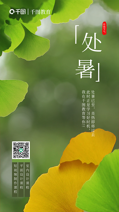 简约摄影图传统节气处暑已至处暑节气借势手机海报