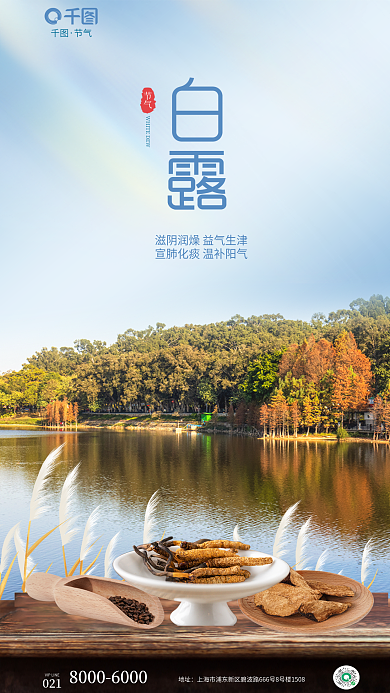 白露中医药节气地址借势海报