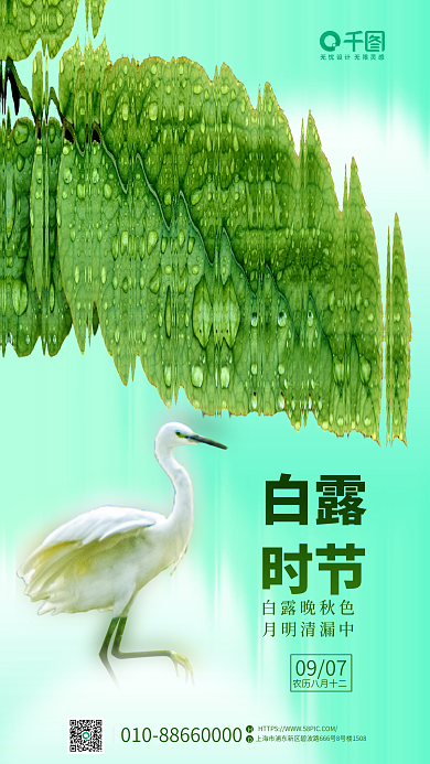 清新简约白露时节白露时节海报
