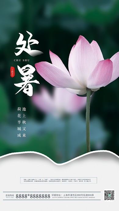 简约传统二十四节气咨询热线撕纸海报