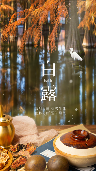 简约创意白露bailu中医药医疗借势海报