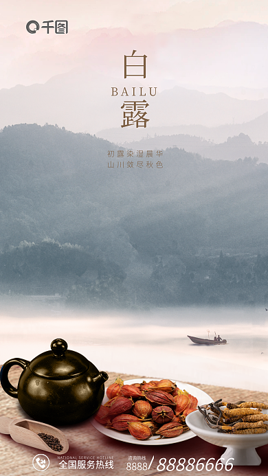 白露中医摄影图结合借势海报