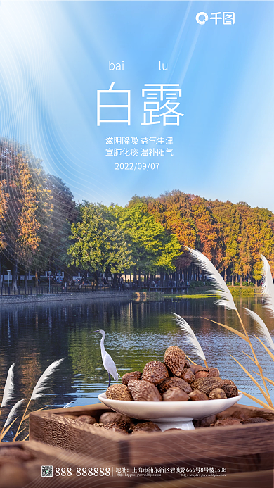 简约风地址网址摄影图结合借势海报