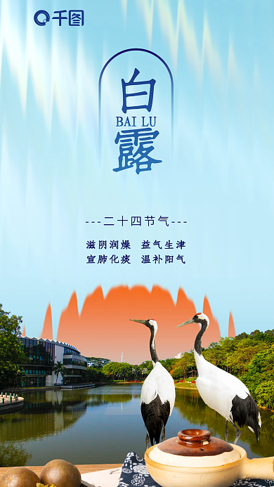 清新简约白露BAILU中医借势海报
