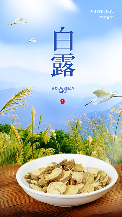 白露节气中医药借势活动宣传海报
