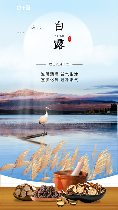 白露中医摄影图结合借势海报