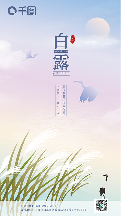 白露二十四节气服务热线公司地址海报