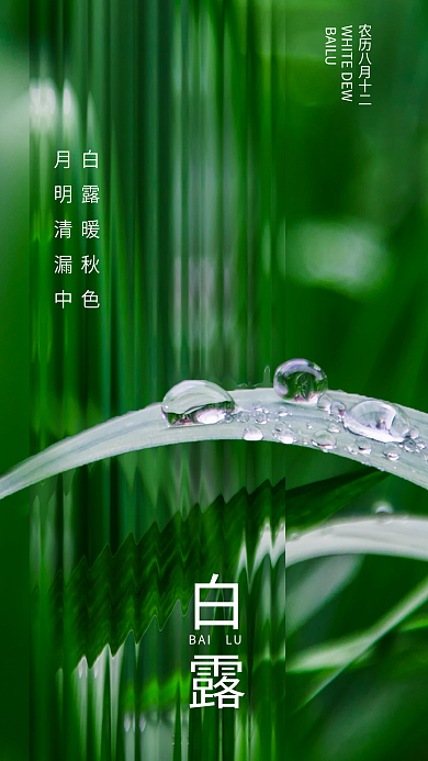 长虹玻璃白露节气海报