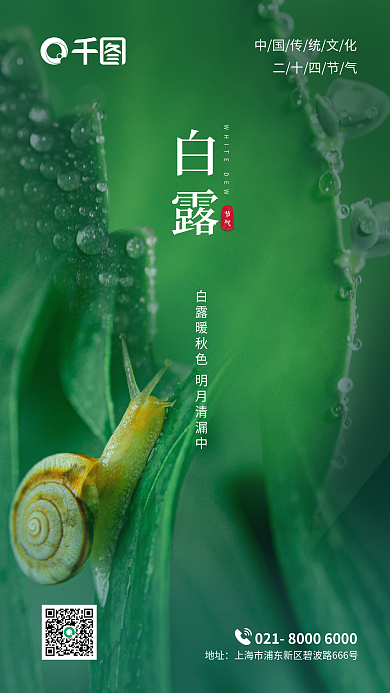 白露雨水地产酒店中国传统节日二十四节气海