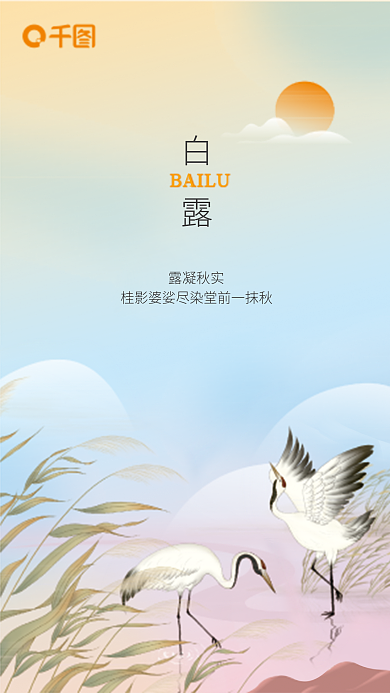 白露24BAILU白露节气海报