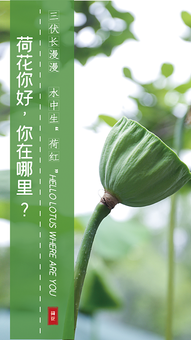 保护植物三伏长漫中生公益海报