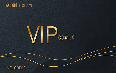 商务大气公司VIP