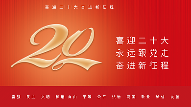 简约大气喜迎二十大永远跟党走展板