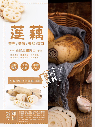 新鲜食材莲藕销售海报