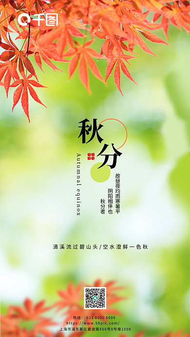 摄影图简约热线节日节气秋分海报