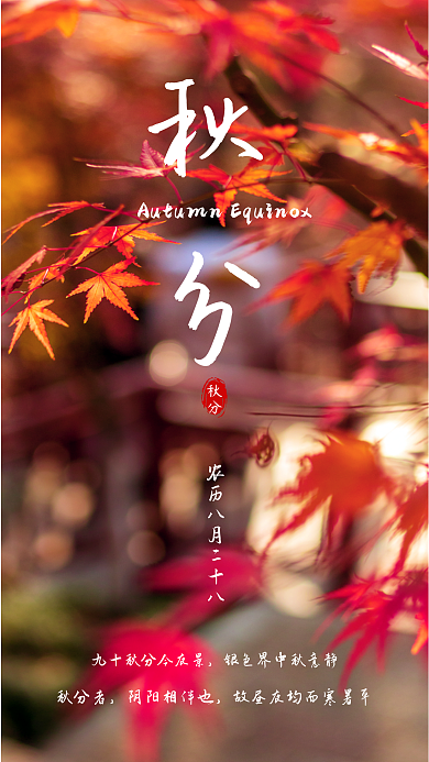 简约风格秋分海报