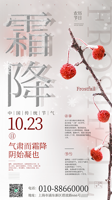 霜降传统节气雪花中国风