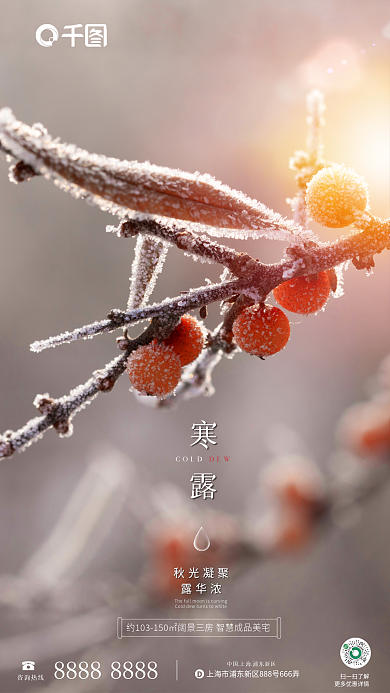 简约大气咨询热线扫一扫了解二十四节气借势海报