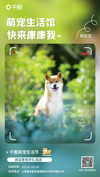 萌宠馆REC萌宠生活馆简约促销摄像小清新海报