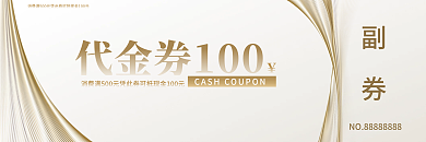 通用白金副券使用说明风格代金券