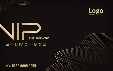 大气高端Logo贵宾签名vip会员卡优惠券名片
