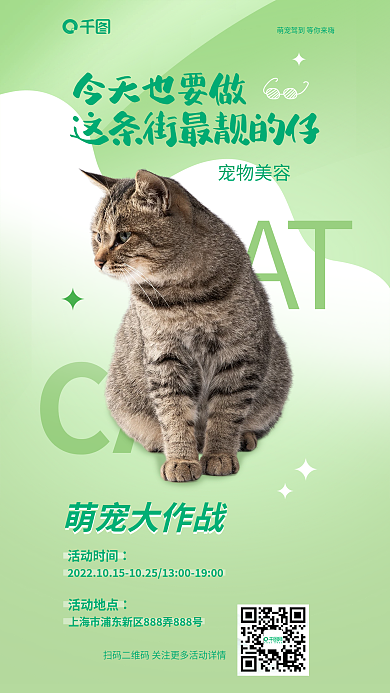 扁平化宠物店CAT宣传海报
