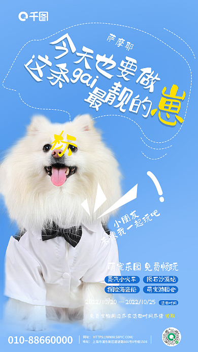 简约宠物店gai小朋友海报