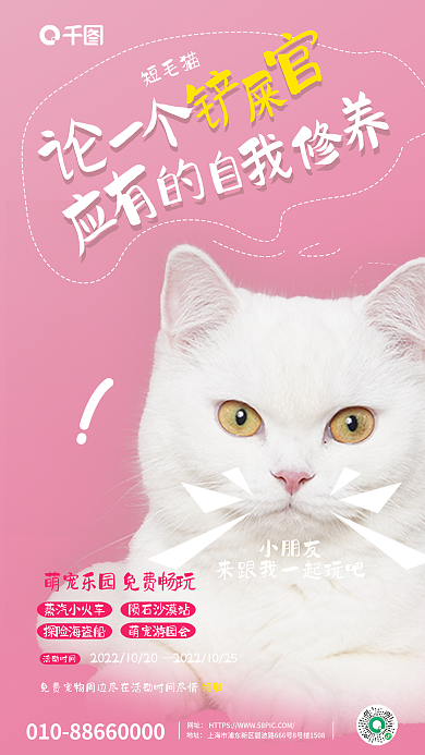 简约宠物店小朋友短毛猫海报