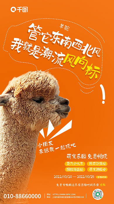 简约宠物店小朋友羊驼海报