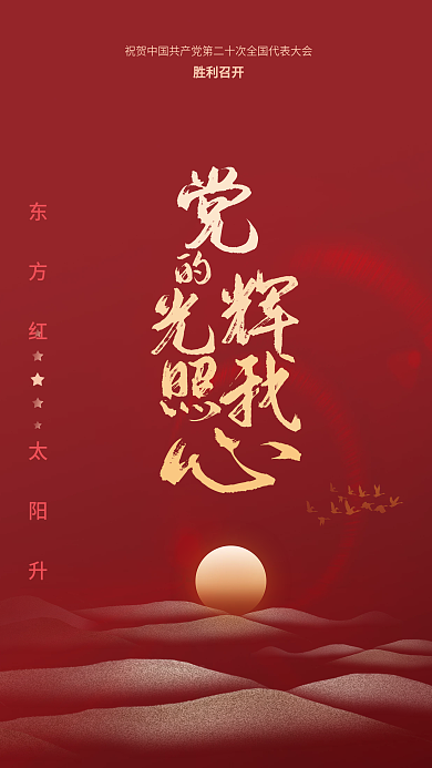 简党建胜利召开的二十大代表大会海报
