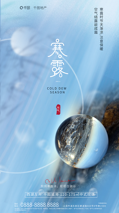 简约大气炯炯寒露冰皎皎白驹谷传统节气海报