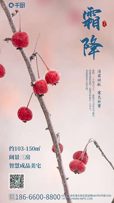 传统二十四节气霜降阔景三房节气借势海报