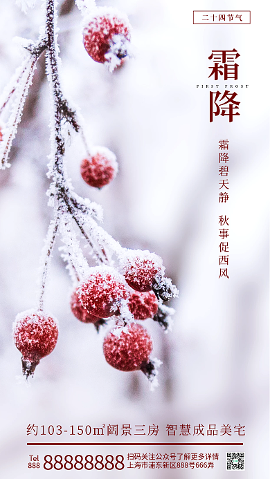摄影图元素霜降二十四节气借势海报山楂秋天降温