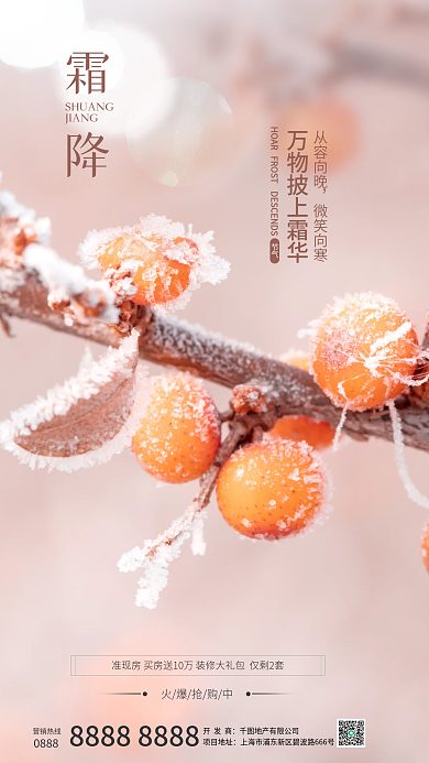 摄影图元素从容向晚微笑向寒借势海报