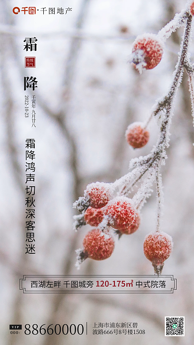 摄影图元素000VIP借势海报