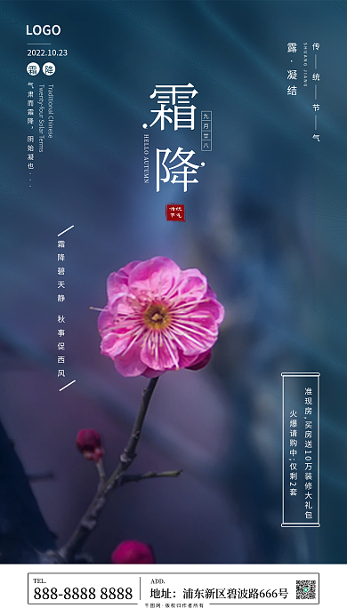 霜降节气TELADD新媒体海报