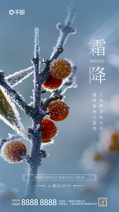 摄影图元素霜降火爆抢购中借势海报