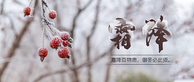 二十四节气霜降微信公众号封面海报