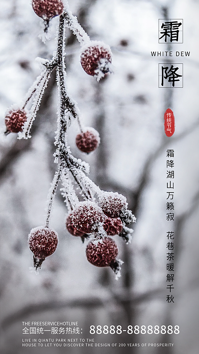 霜降小寒传统节气地产海报广告