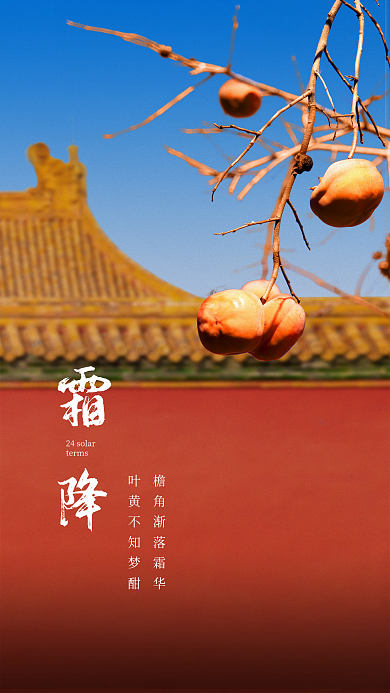 二十四节气简约terms霜降
