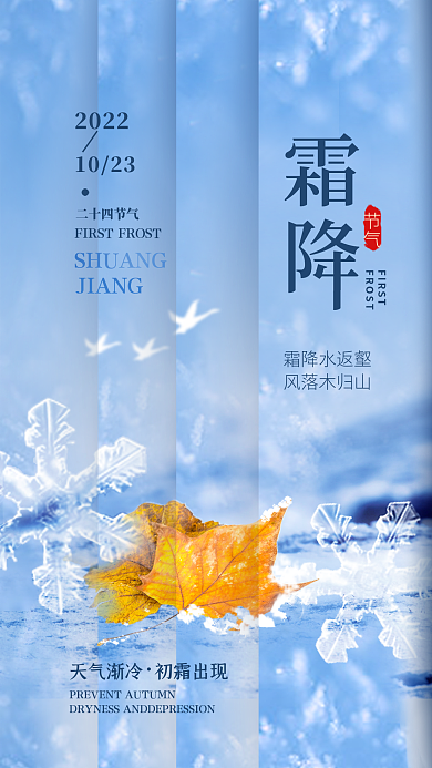 霜降二十四节气简约海报