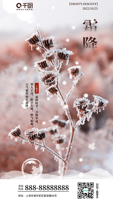 二十四节气霜降摄影图海报