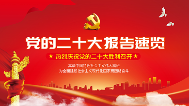 矢量红色大会主题坚持和完善二十大报告解读展板党建背景